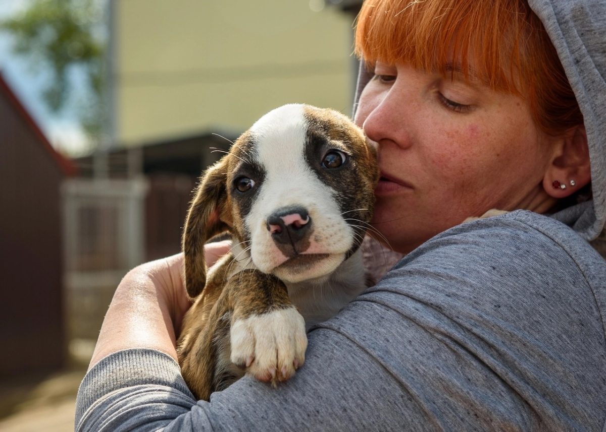 Нижегородские волонтеры спасли брошенную в грузинском городе-музее собаку с двумя щенками