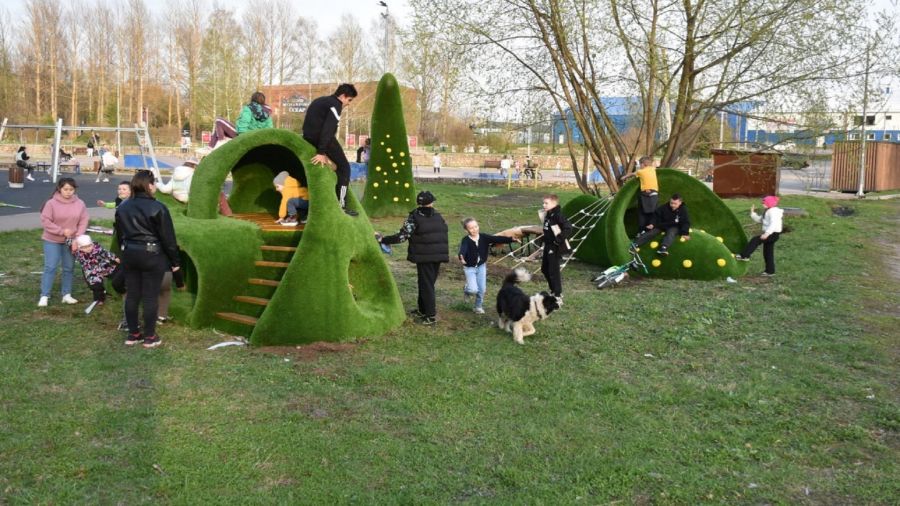 В центре Переславля появились зеленые скульптуры