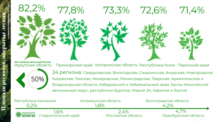 Карта леса россии рослесинфорг