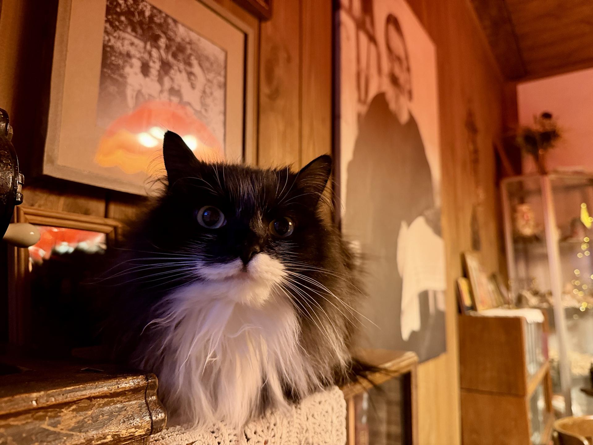 Фото: МедиаБанк Подмосковья/Ольга Стаферова