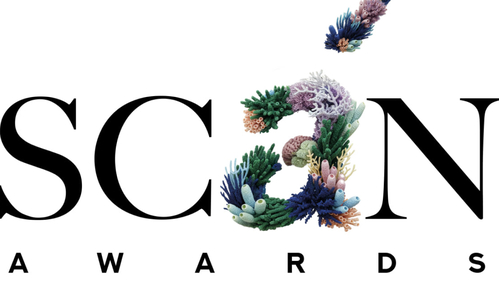Объявлены номинанты III премии современного искусства Scan Awards