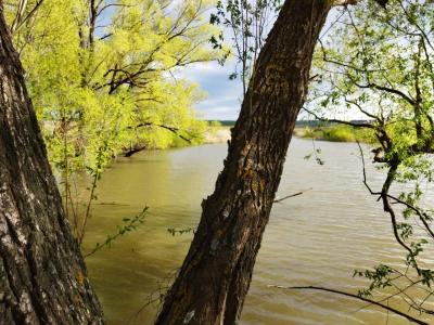 Росводресурсы: приток воды в Волгу превышает нормы