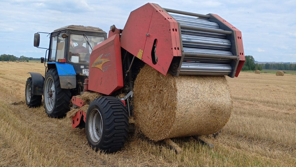 Фото: Ксения Литвинова