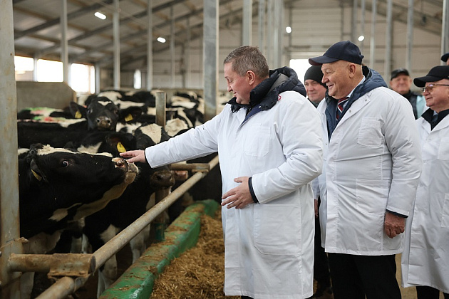 Волгоградское сельхозпредприятие вошло в топ самых эффективных молочных хозяйств страны