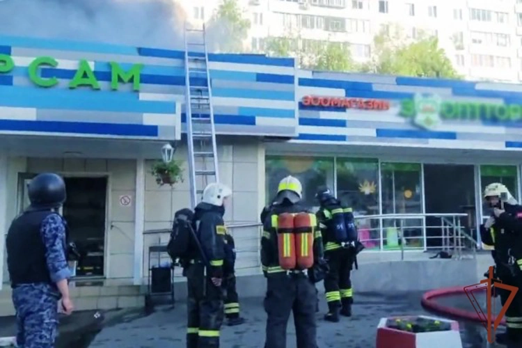 Росгвардейцы помогли экстренным службам при тушении пожара в Москве (видео)