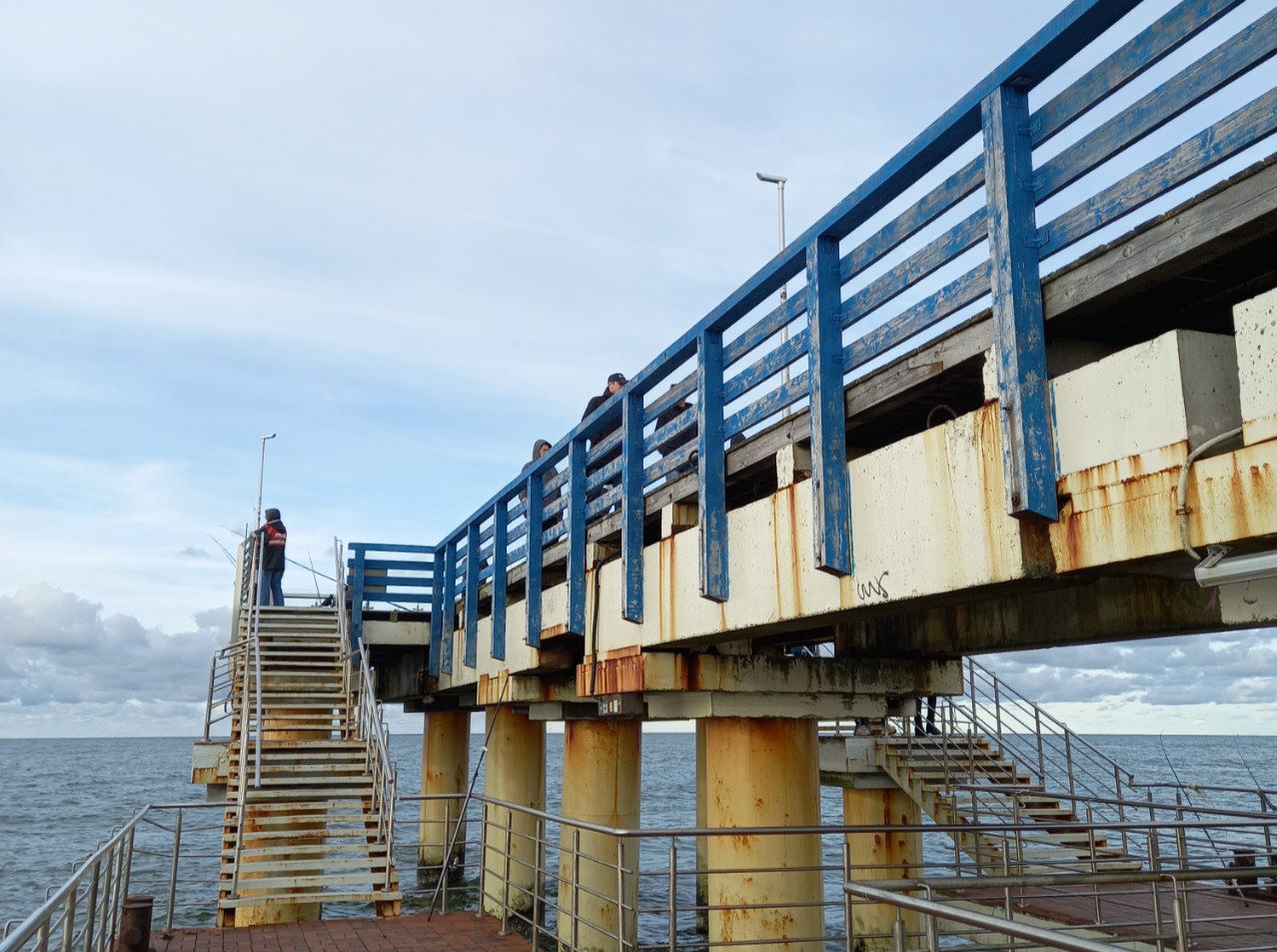 камеры зеленоградска пирс