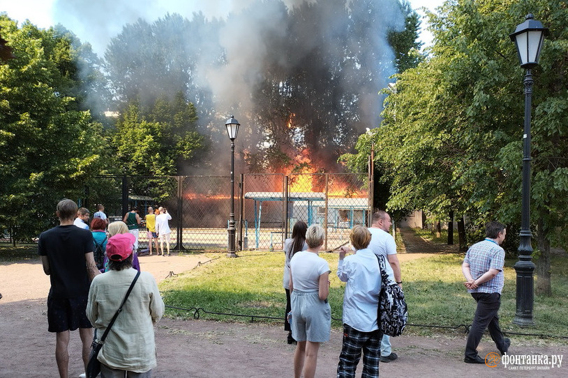 Жара сгорела. Тополиный пух в СПБ. Тополиный пух пожар. Фото пожарные тушат пожар. Тополиный пух фото Питер.