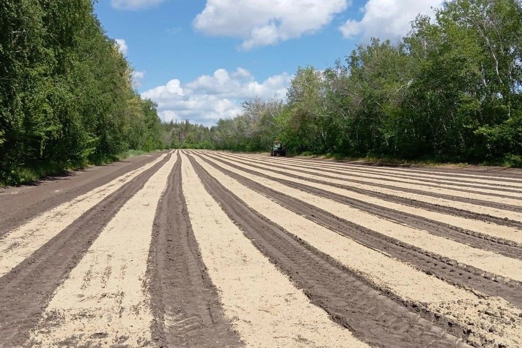 На Дону усилено патрулирование земель лесного фонда