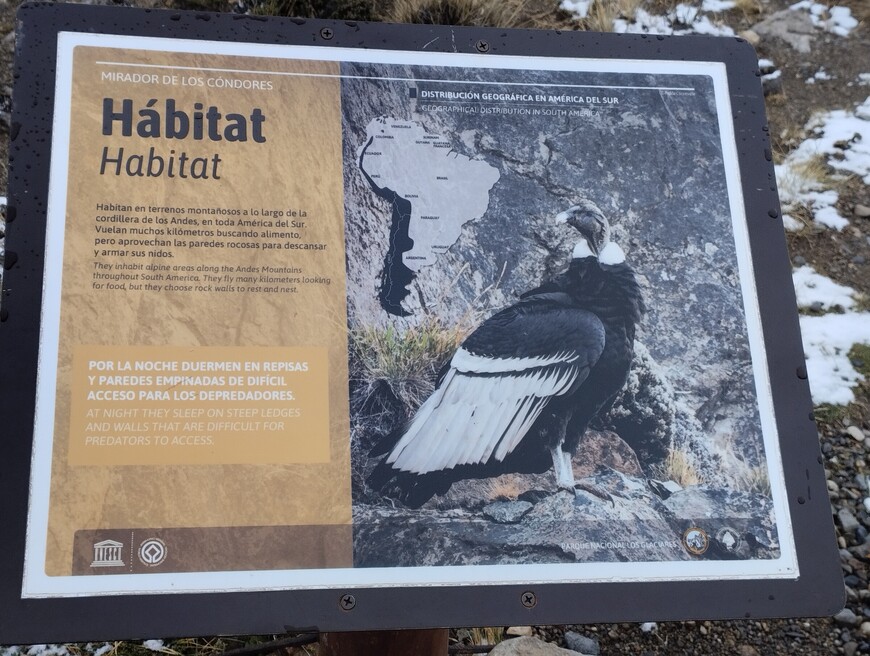 Фиц Рой – плод терпения