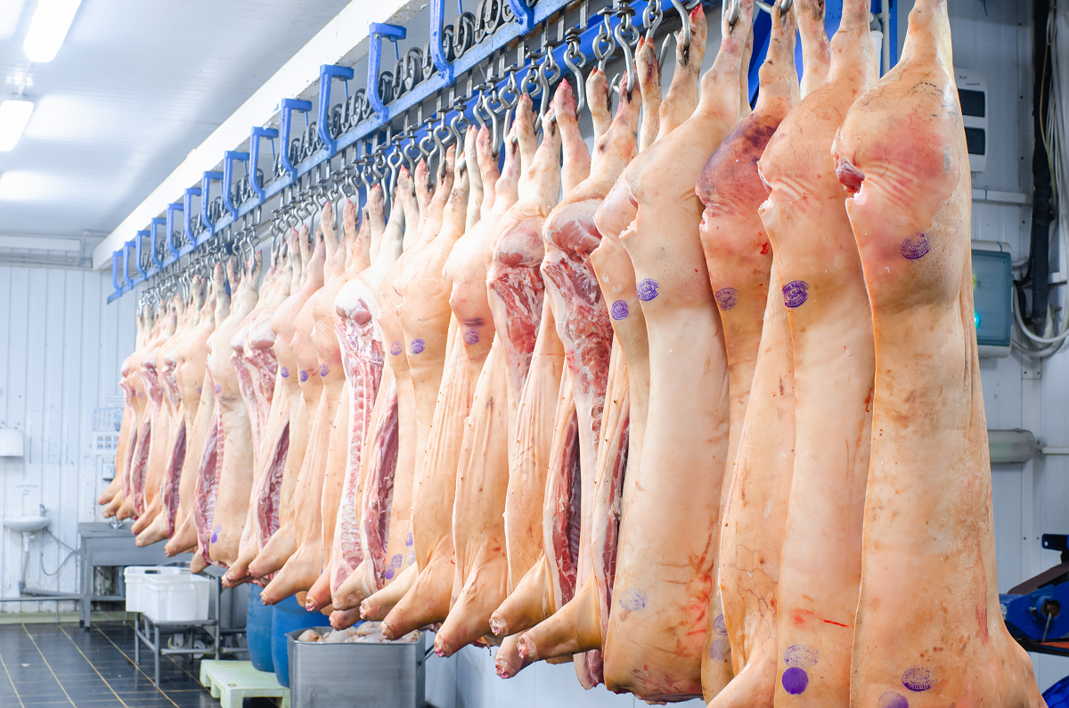 Росстат отмечает снижение оптовых цен производителей свинины