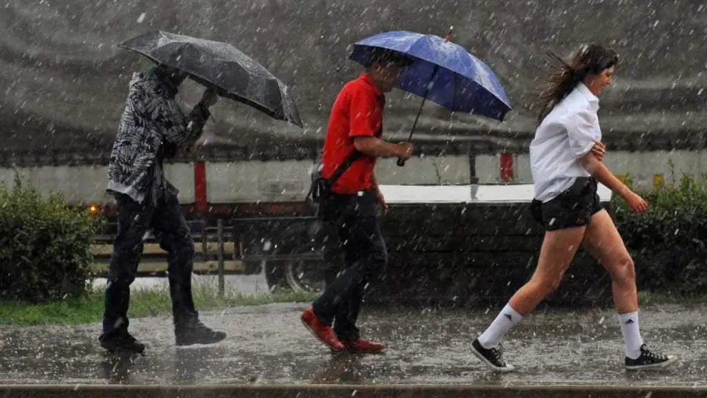 синоптики латвии