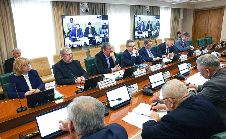 Совещание Комитета Совета Федерации по экономической политике на тему «Развитие электроэнергетического комплекса на территории Дальневосточного федерального округа»