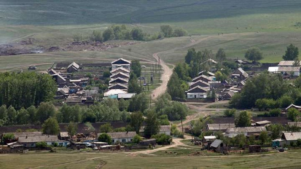 Виды шипуново картинки
