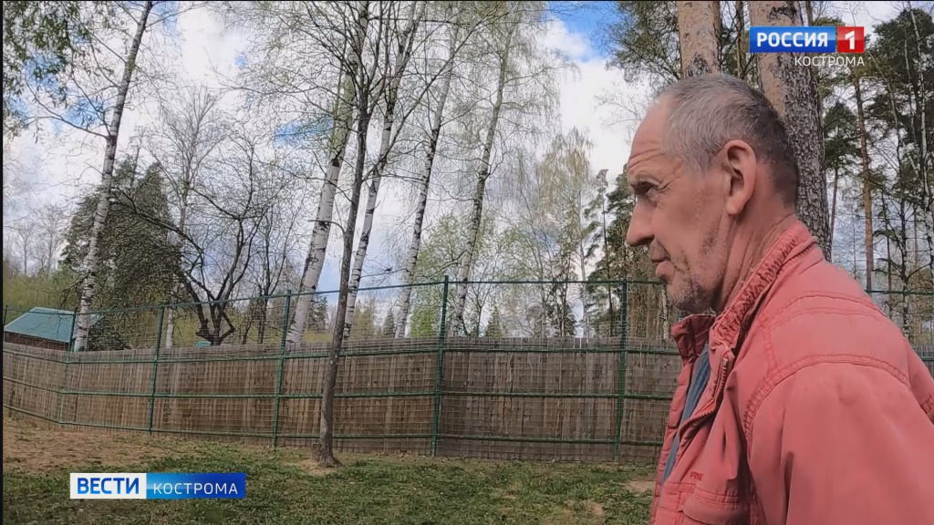 кенгурёнок.mp4_snapshot_01.15.655.jpg