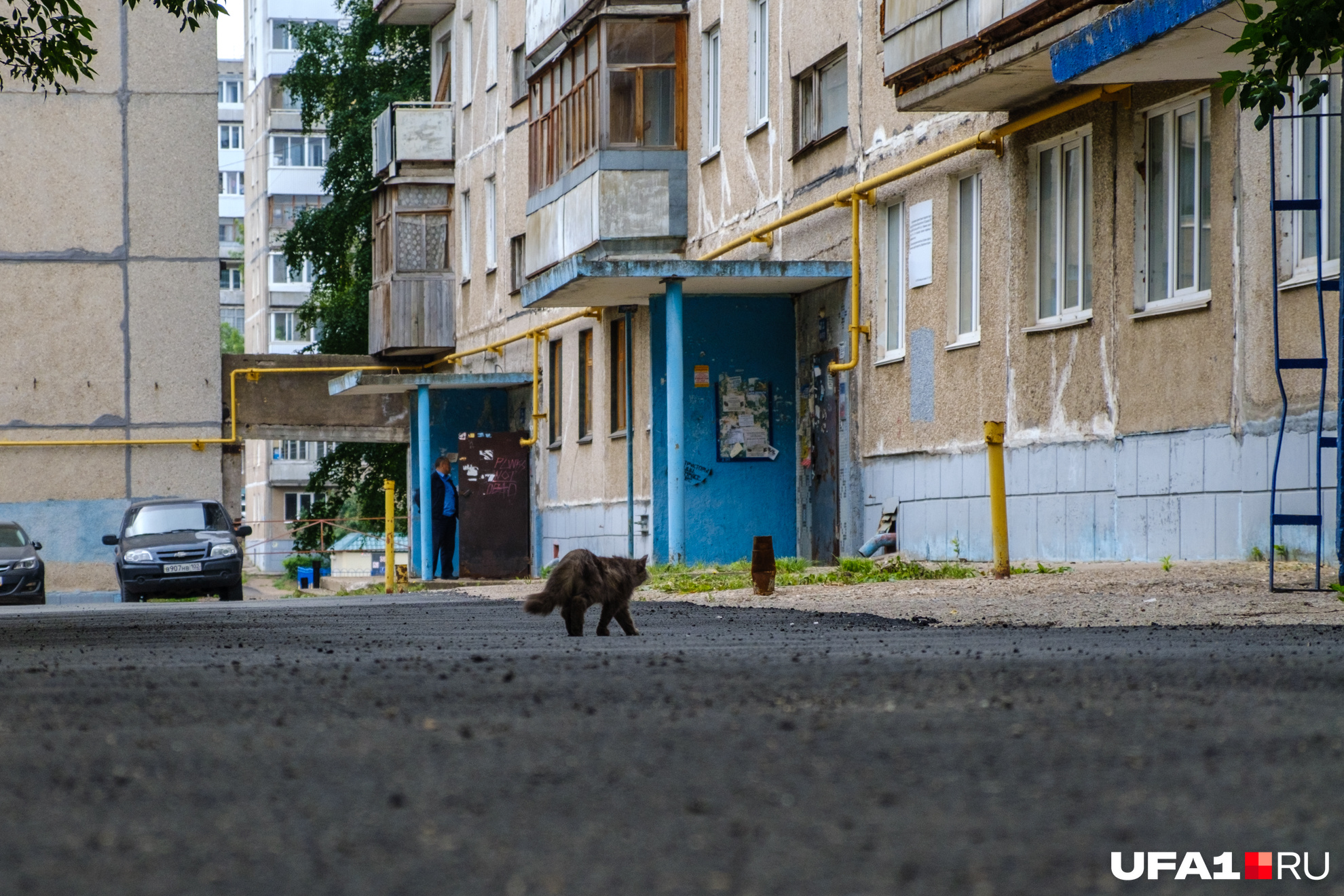 Свежий асфальт положили только у дома, подъезд к нему тоже не заасфальтирован