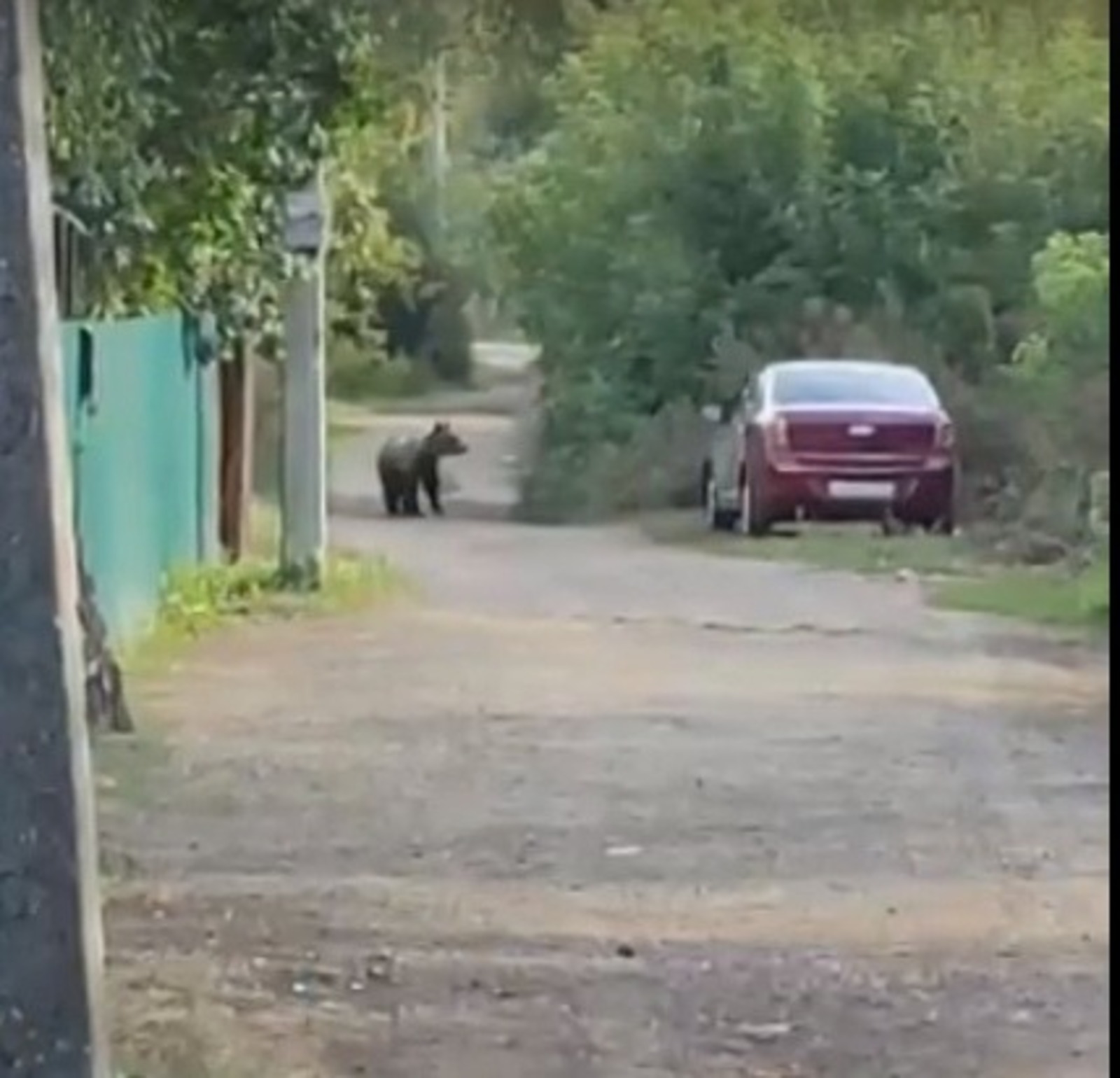 мишка сел за стол не перекрестив лба