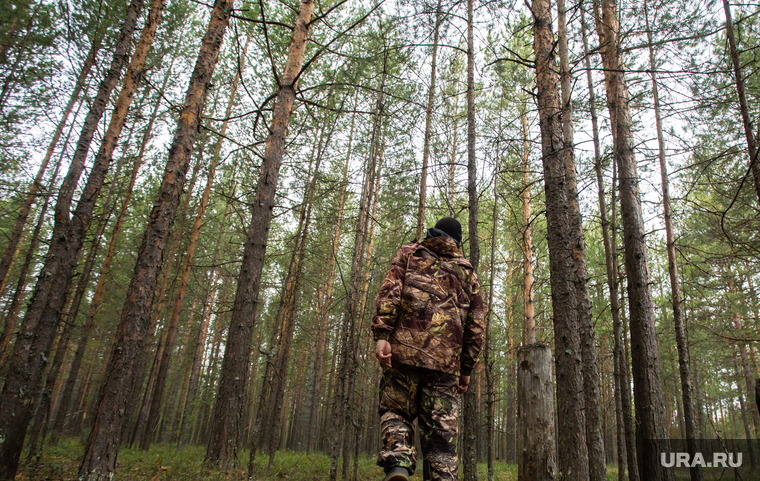 Полевые учения представителей добровольческих поисково-спасательных отрядов. Сургут, лес, камуфляж, заблудился, в лесу, поиск пропавших