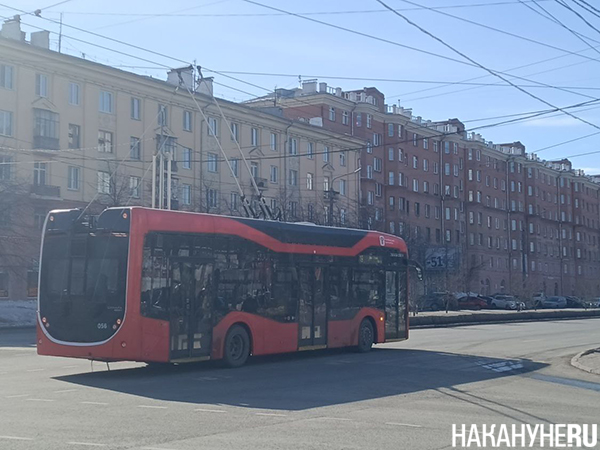 Фото: Накануне.RU