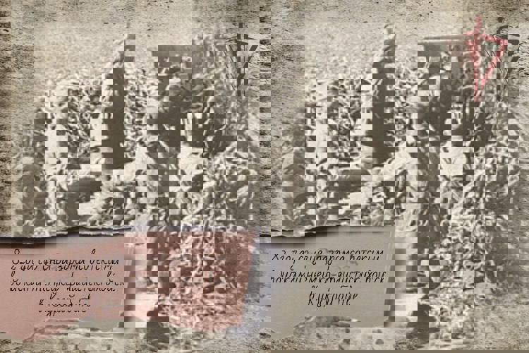 Огненная дуга: как соединения НКВД остановили бронированный кулак вермахта