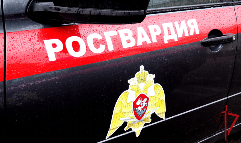 В Великих Луках росгвардейцы задержали подозреваемого в краже