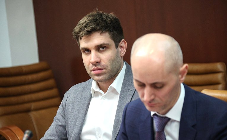 Круглый стол Комитета Совета Федерации по экономической политике «Антимонопольный контроль за формированием хозяйственными обществами цен на товары»