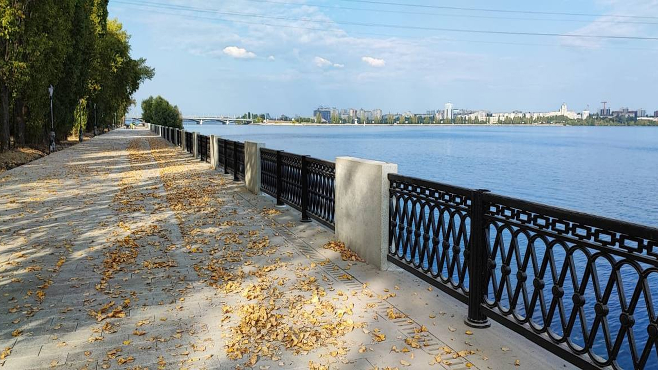 Кинолента петровская наб 11 воронеж фото