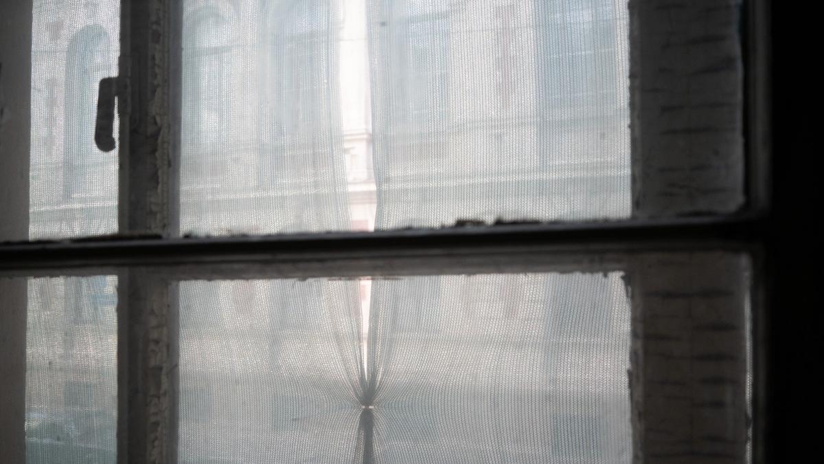 Фото: Павел Борисенко / МР7