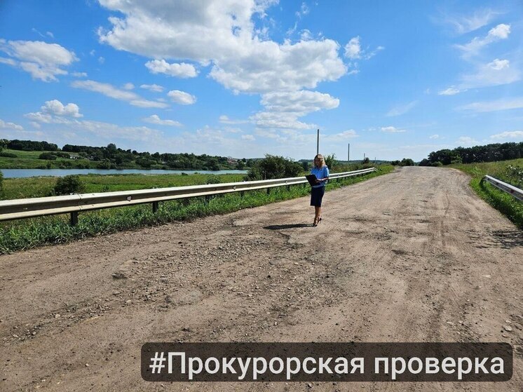 В Куркинском районе выявлены нарушения в содержании автодороги к Сергеевскому