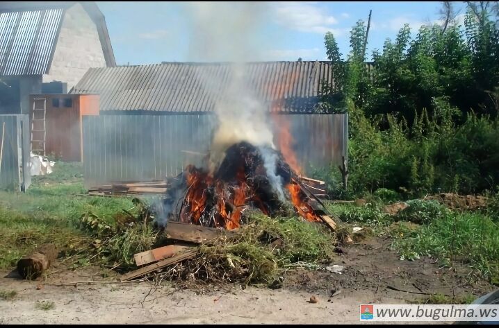 Дачникам напомнили, какие предметы нельзя сжигать на участках.