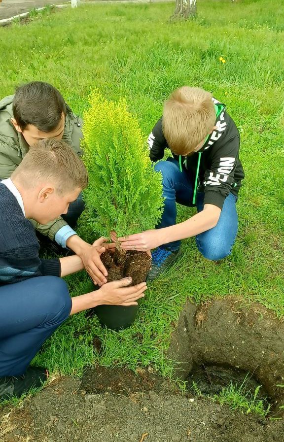 Аллея выпускников проект