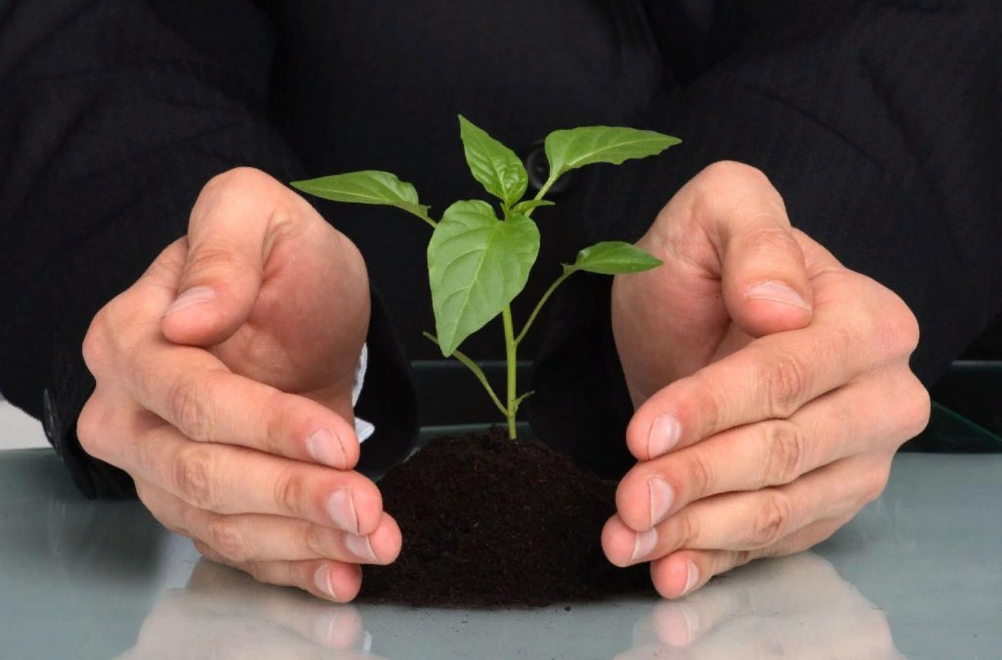 сельское хозяйство. агрострахование фото. страхование сельского урожая. страхование сельского хозяйства. страхование урожая сельскохозяйственных культур.