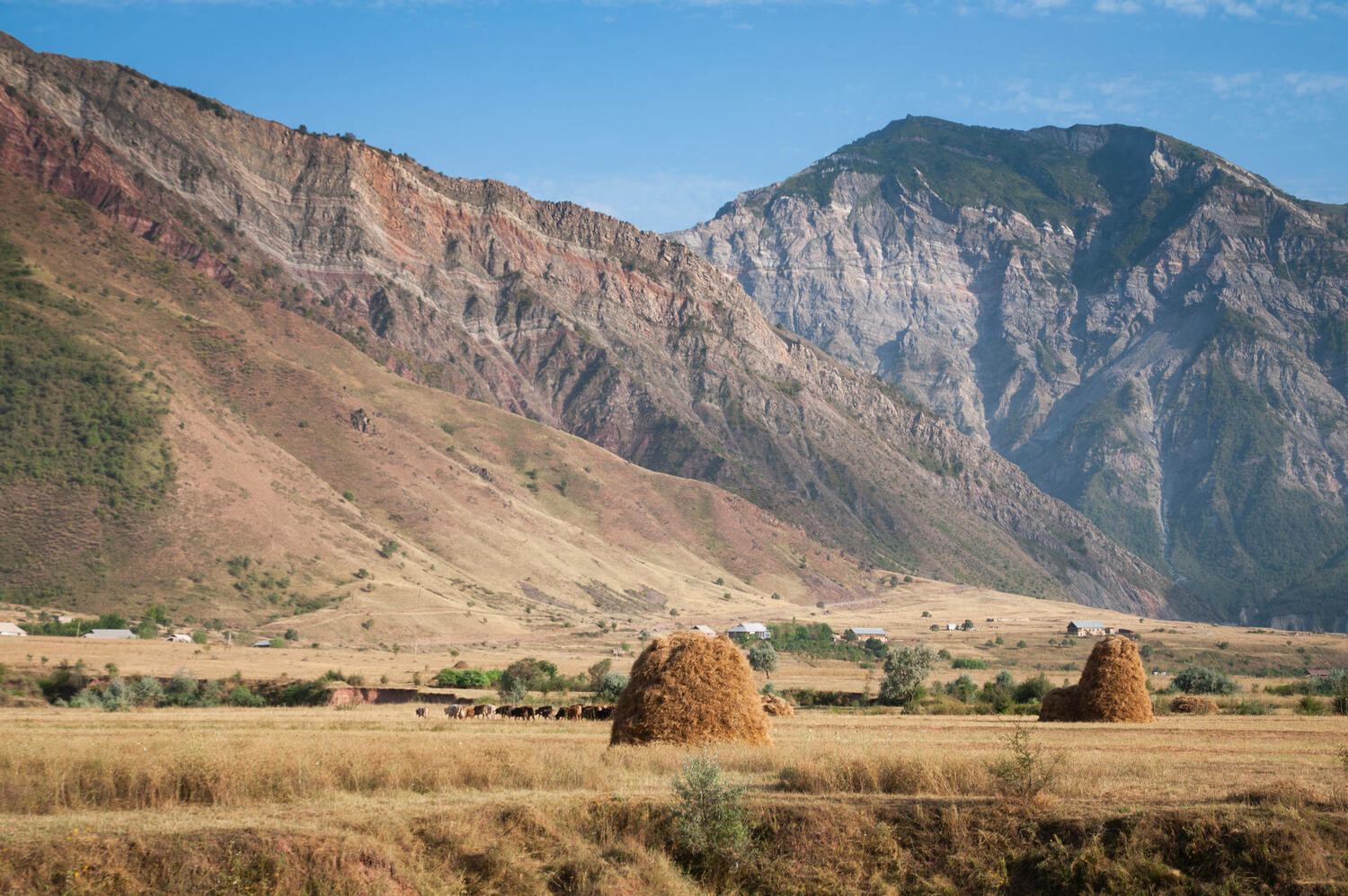 Таджикистан наращивает производство сельхозпродукции