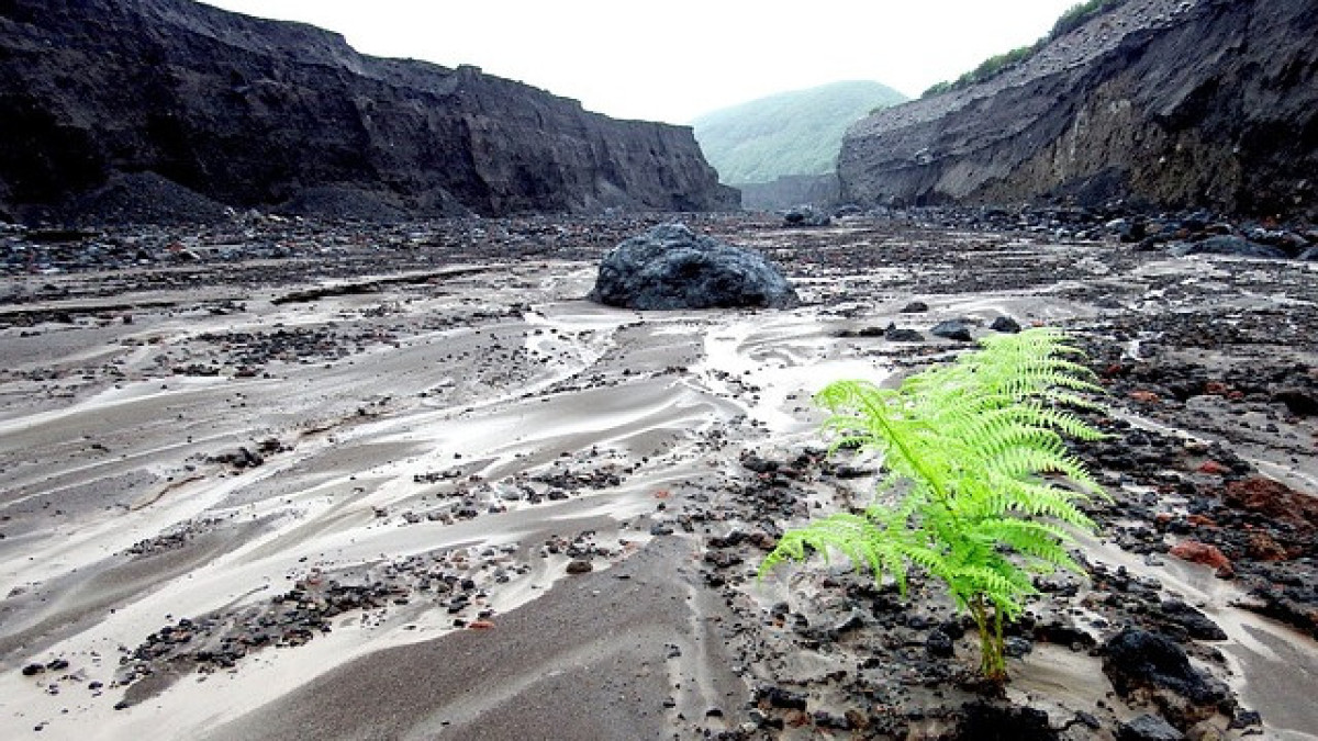 Грязевой поток с камнями. Как называется грязевой поток. Грязевые вулканы тамани тиздар. Поток грязи. Селевые потоки таджикистана.