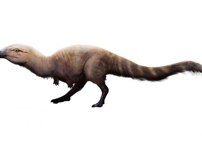Британские ученые обнаружили новый вид мелких растительноядных динозавров