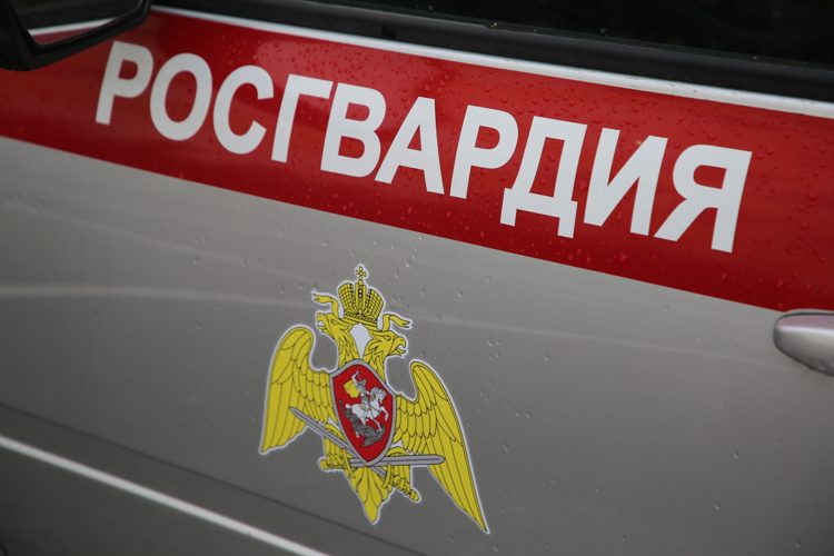 В Саранске экипаж Росгвардии задержал злоумышленника