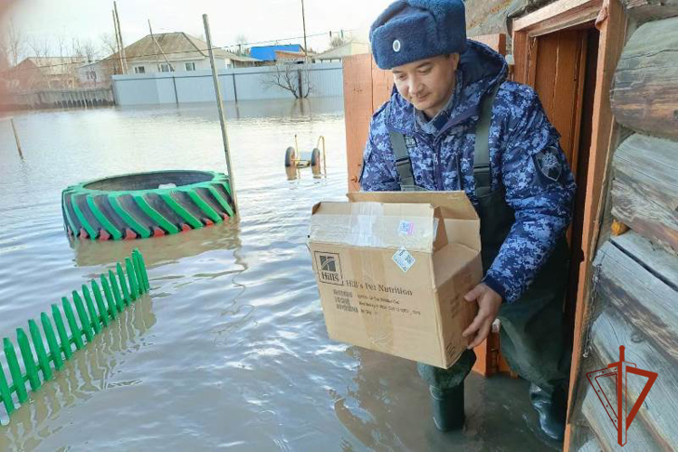 Заслуги росгвардейцев отмечены медалями МЧС России