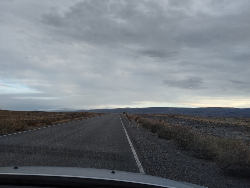 Фиц Рой – плод терпения