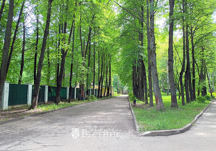 Почему закрыли парки москвы. Городской парк. Благоустройство территории парка. Парк Гагарина благоустройство. Городской парк культуры и отдыха.