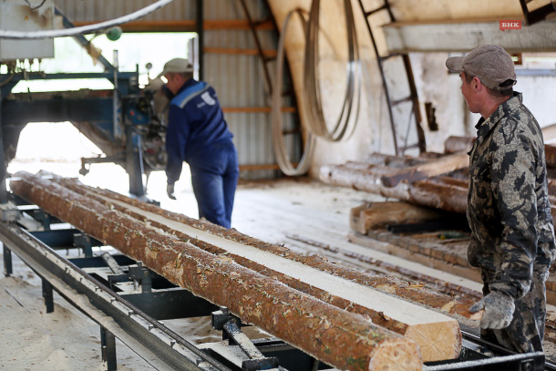 Россельхознадзор отметил уменьшение объемов зараженной древесины в Коми