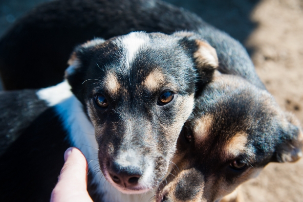 Волгоградская правда