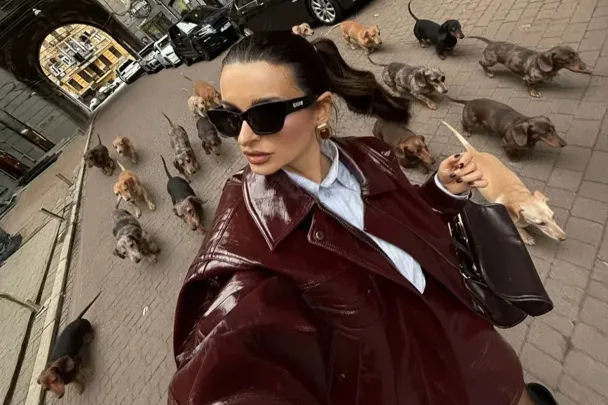 Just go volunteer at an animal shelter,