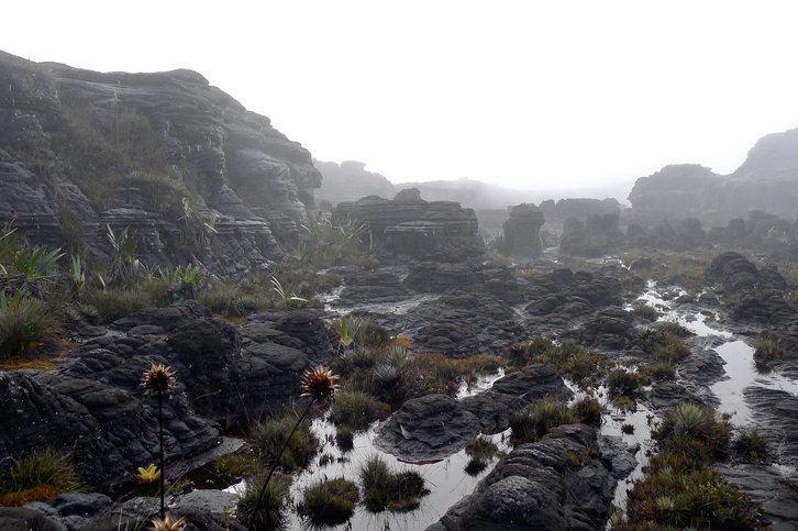 Фото: Alexey Yakovlev / Flickr