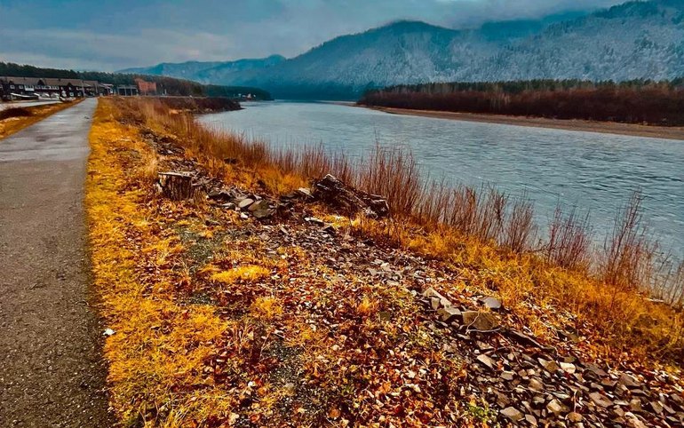 Медведя вновь видели в Абазе