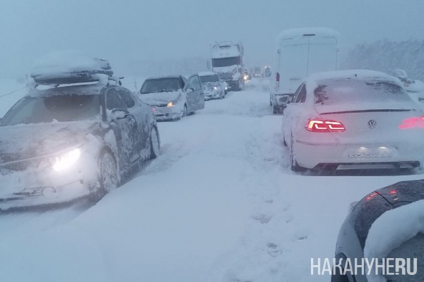 Фото: Накануне.RU