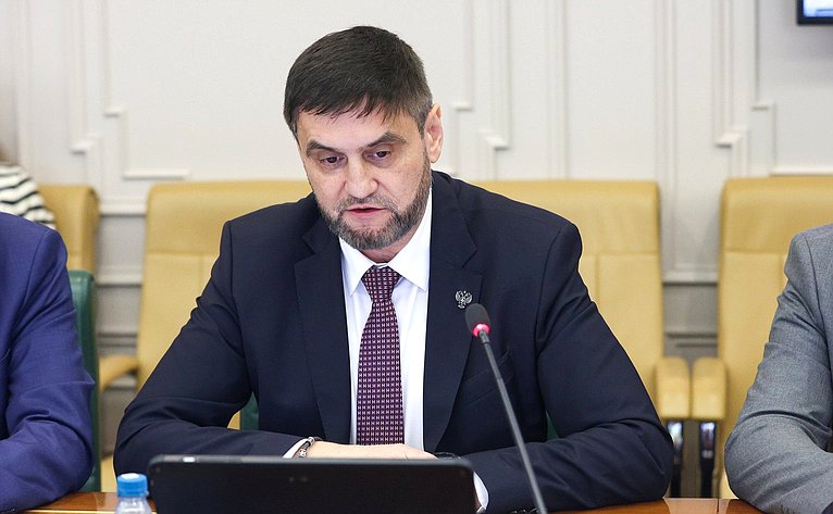 Совещание Комитета Совета Федерации по экономической политике на тему «Развитие электроэнергетического комплекса на территории Дальневосточного федерального округа»