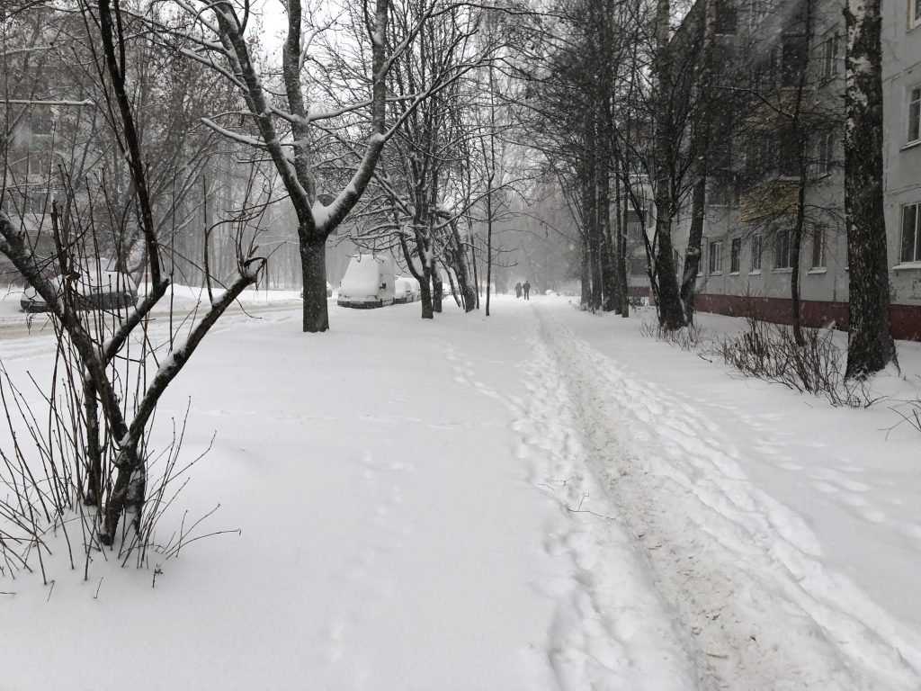 Погода брянск на декабрь. Первый снег в Брянской области. Фото первый снег в красной горе Брянской области.