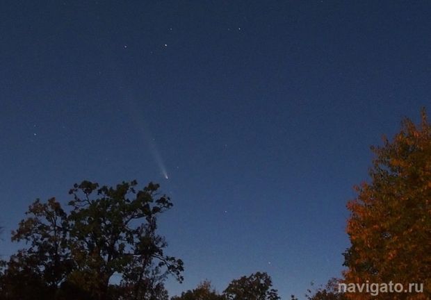 Метеорный поток Геминиды могут увидеть новосибирцы в середине декабря
