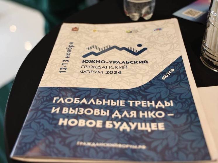 Южноуральские эксперты высказались о важности поддержки НКО