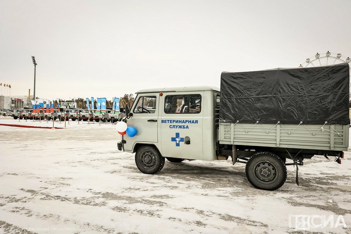 Фото: Мария Васильева/ЯСИА