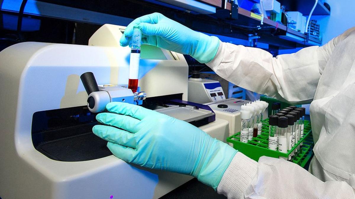 Учёный проверяет бактерии на чувствительность к противомикробным препаратам